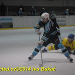 Hokej: Veselí prověřovalo formu Milevska. Bitva přijde v pondělí!