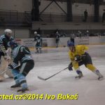 Hokej: Veselí prověřovalo formu Milevska. Bitva přijde v pondělí!