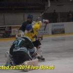 Hokej: Veselí prověřovalo formu Milevska. Bitva přijde v pondělí!