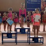 Jihočeská liga vyvrcholila v milevské sportovní hale
