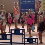 Jihočeská liga vyvrcholila v milevské sportovní hale
