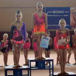 Jihočeská liga vyvrcholila v milevské sportovní hale