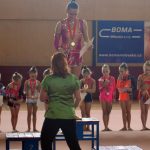 Jihočeská liga vyvrcholila v milevské sportovní hale