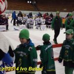 Táborský hokejový Turnaj mladých nadějí skončil