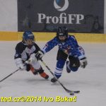 Táborský hokejový Turnaj mladých nadějí skončil