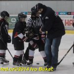 Táborský hokejový Turnaj mladých nadějí skončil
