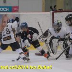Táborský hokejový Turnaj mladých nadějí skončil