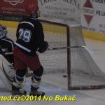 Okresní soutěž v hokeji: Žraloci v posledním zápase první místo neudrželi a přišli o titul. Raduje se Čenkov