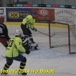 Okresní soutěž v hokeji: Žraloci v posledním zápase první místo neudrželi a přišli o titul. Raduje se Čenkov