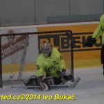 Okresní soutěž v hokeji: Žraloci v posledním zápase první místo neudrželi a přišli o titul. Raduje se Čenkov