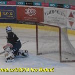 Okresní soutěž v hokeji: Žraloci v posledním zápase první místo neudrželi a přišli o titul. Raduje se Čenkov