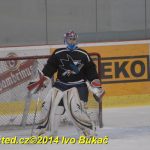 Okresní soutěž v hokeji: Žraloci v posledním zápase první místo neudrželi a přišli o titul. Raduje se Čenkov