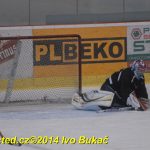 Okresní soutěž v hokeji: Žraloci v posledním zápase první místo neudrželi a přišli o titul. Raduje se Čenkov