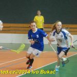 Florbal: Výborně! Dorostenky Tábora jdou do bojů o titul