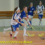 Florbal: Výborně! Dorostenky Tábora jdou do bojů o titul