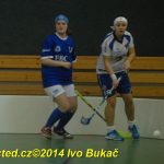 Florbal: Výborně! Dorostenky Tábora jdou do bojů o titul