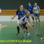 Florbal: Výborně! Dorostenky Tábora jdou do bojů o titul
