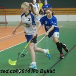 Florbal: Výborně! Dorostenky Tábora jdou do bojů o titul