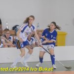 Florbal: Výborně! Dorostenky Tábora jdou do bojů o titul