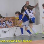 Florbal: Výborně! Dorostenky Tábora jdou do bojů o titul