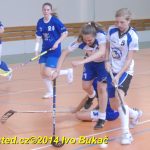 Florbal: Výborně! Dorostenky Tábora jdou do bojů o titul