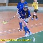 Florbal: Výborně! Dorostenky Tábora jdou do bojů o titul