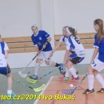 Florbal: Výborně! Dorostenky Tábora jdou do bojů o titul