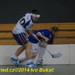 Florbal: Výborně! Dorostenky Tábora jdou do bojů o titul