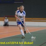 Florbal: Výborně! Dorostenky Tábora jdou do bojů o titul