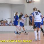 Florbal: Výborně! Dorostenky Tábora jdou do bojů o titul