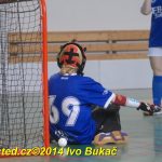 Florbal: Výborně! Dorostenky Tábora jdou do bojů o titul
