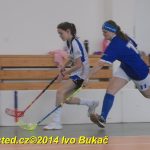 Florbal: Výborně! Dorostenky Tábora jdou do bojů o titul