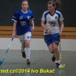 Florbal: Výborně! Dorostenky Tábora jdou do bojů o titul
