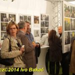 Czech Press Photo – nejlepší fotografie připutovaly do Tábora. Jsou k vidění ve stanu