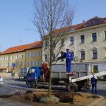 Štěstí lípě popřály tři sudičky