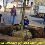 Štěstí lípě popřály tři sudičky
