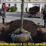 Štěstí lípě popřály tři sudičky