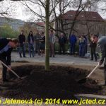 Štěstí lípě popřály tři sudičky