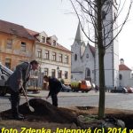 Štěstí lípě popřály tři sudičky