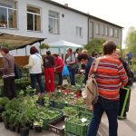 V Radimovicích zavoněla květinová výstava