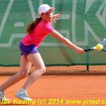 Mezinárodní tenis v Písku