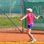 Mezinárodní tenis v Písku
