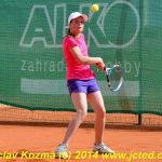 Mezinárodní tenis v Písku
