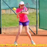 Mezinárodní tenis v Písku