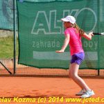 Mezinárodní tenis v Písku