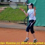 Mezinárodní tenis v Písku
