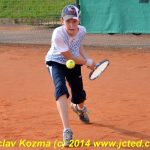Mezinárodní tenis v Písku