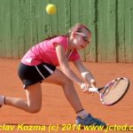 Mezinárodní tenis v Písku