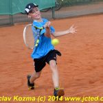 Mezinárodní tenis v Písku