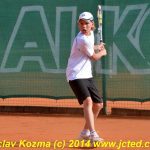 Mezinárodní tenis v Písku